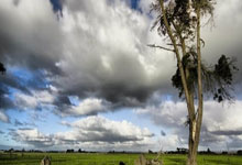 欧冠：炮兵客战PSV守夺冠希望 马德里内战受关注.